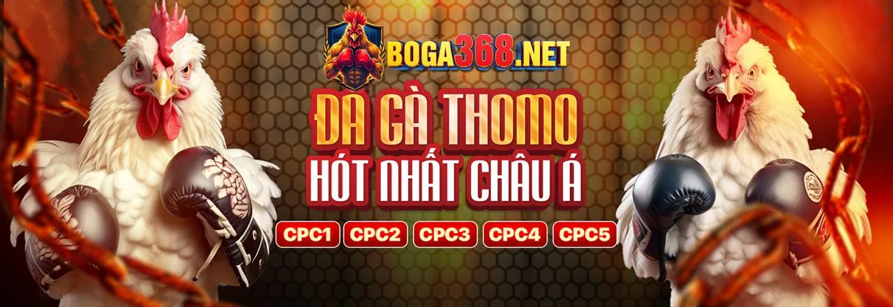 Tổng quan về S88 Trang Chủ
